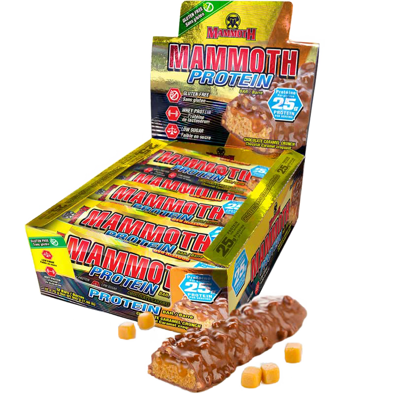Mammoth Protein Bar Box of 12 Chocolate Caramel
